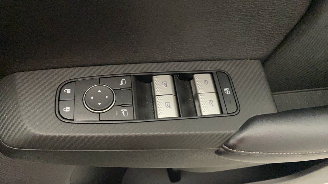 Drivers Side Door Panel Controls