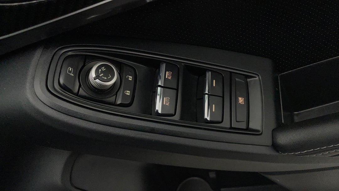 Drivers Side Door Panel Controls