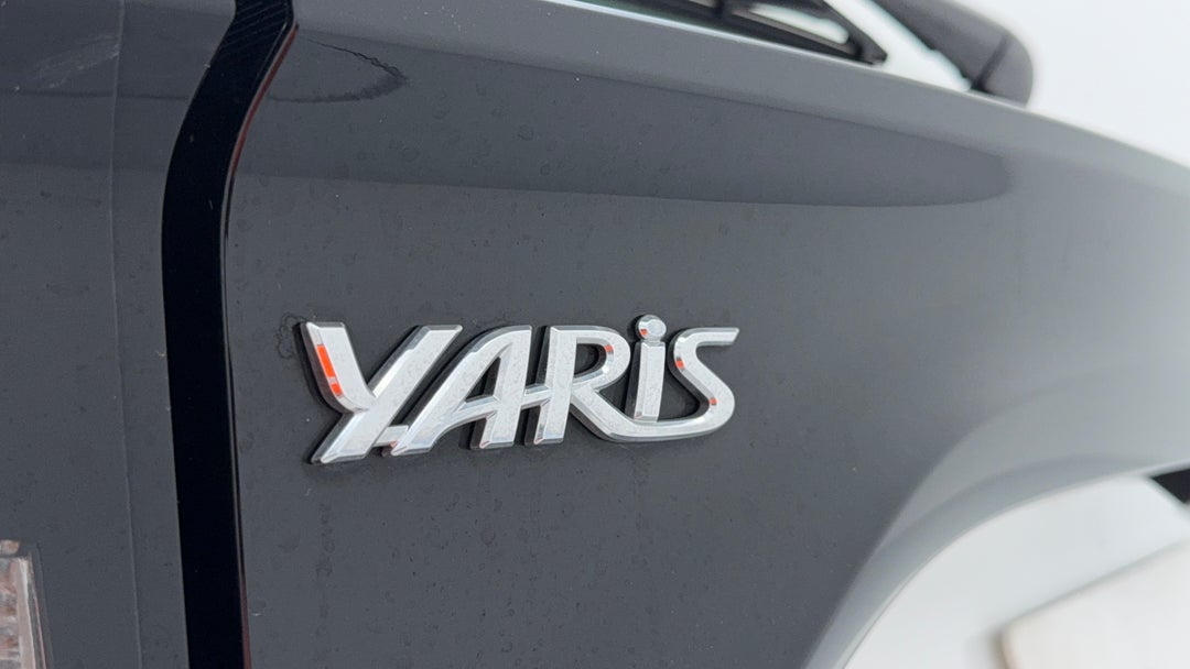 Badge (Boot Left Side)