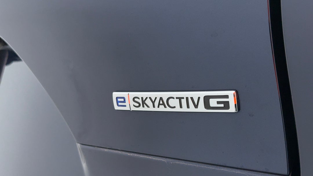 Badge (Boot Right Side)