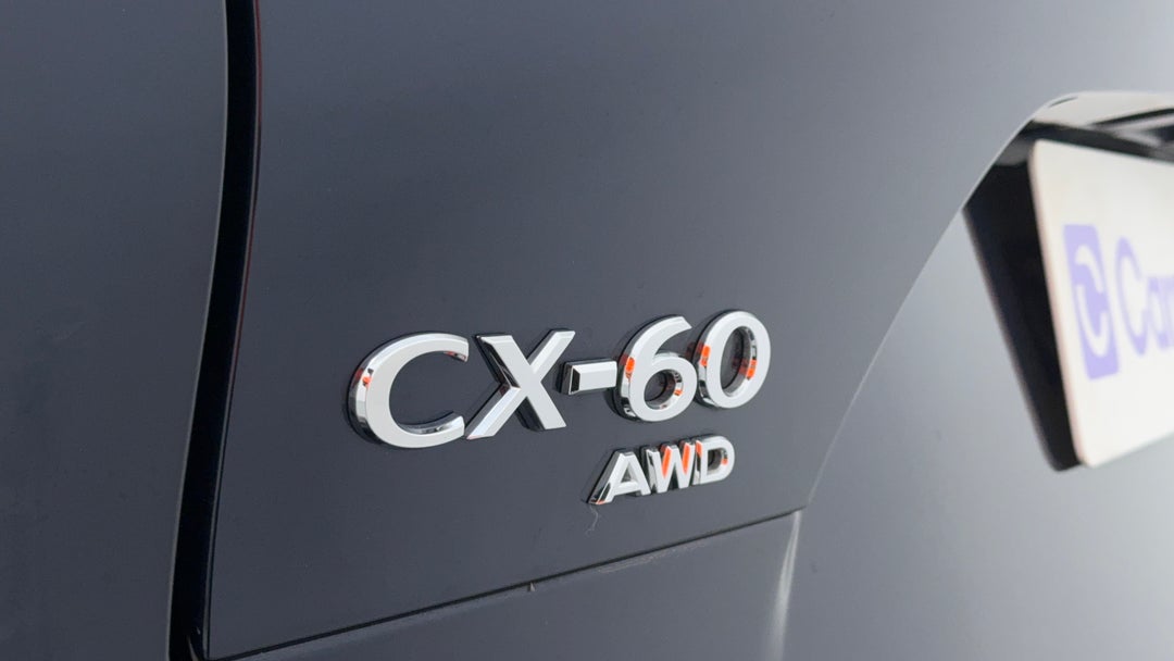 Badge (Boot Left Side)