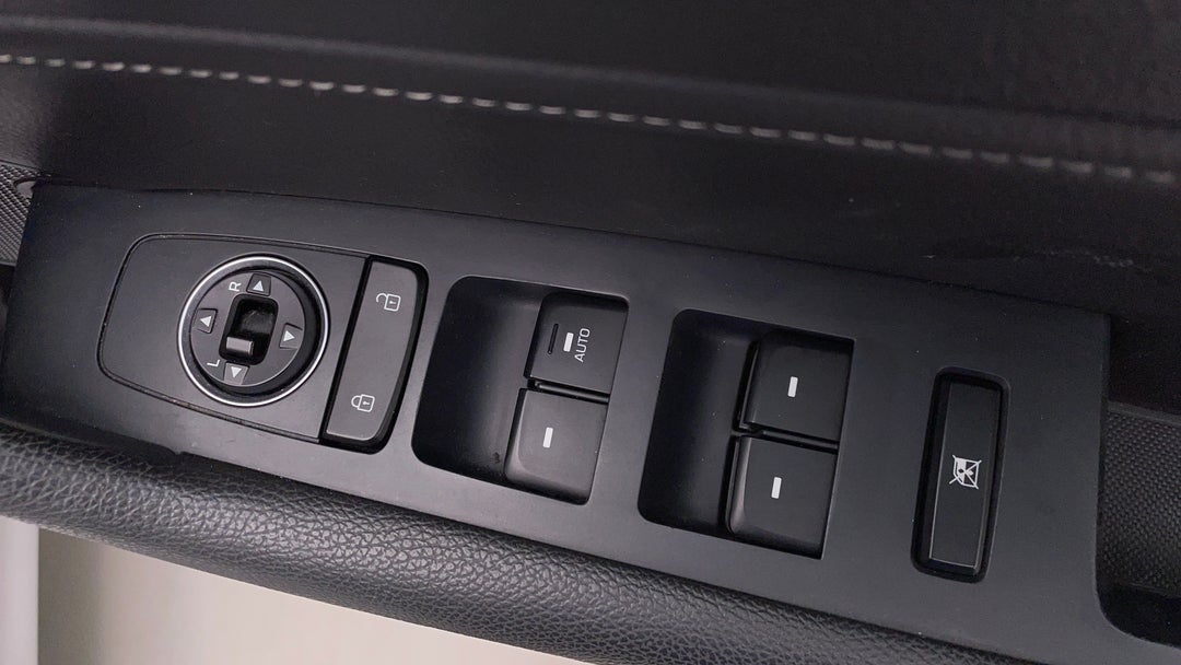Drivers Side Door Panel Controls