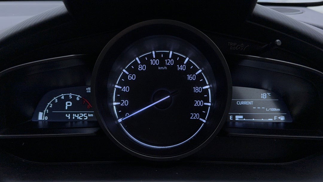 Odometer View