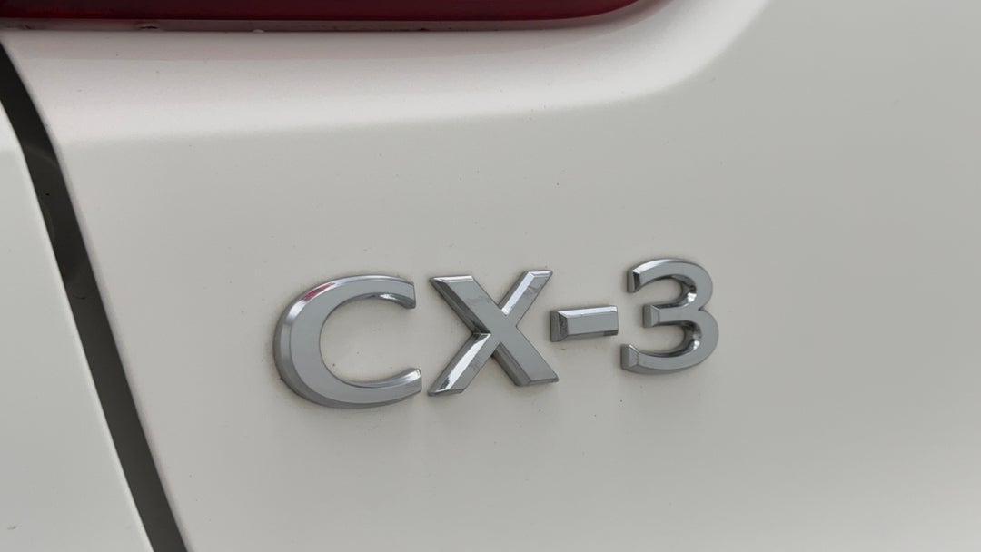 Badge (Boot Left Side)