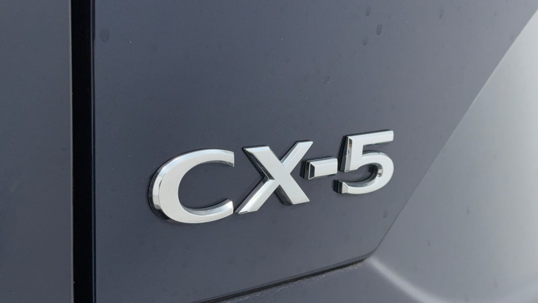 Badge (Boot Left Side)