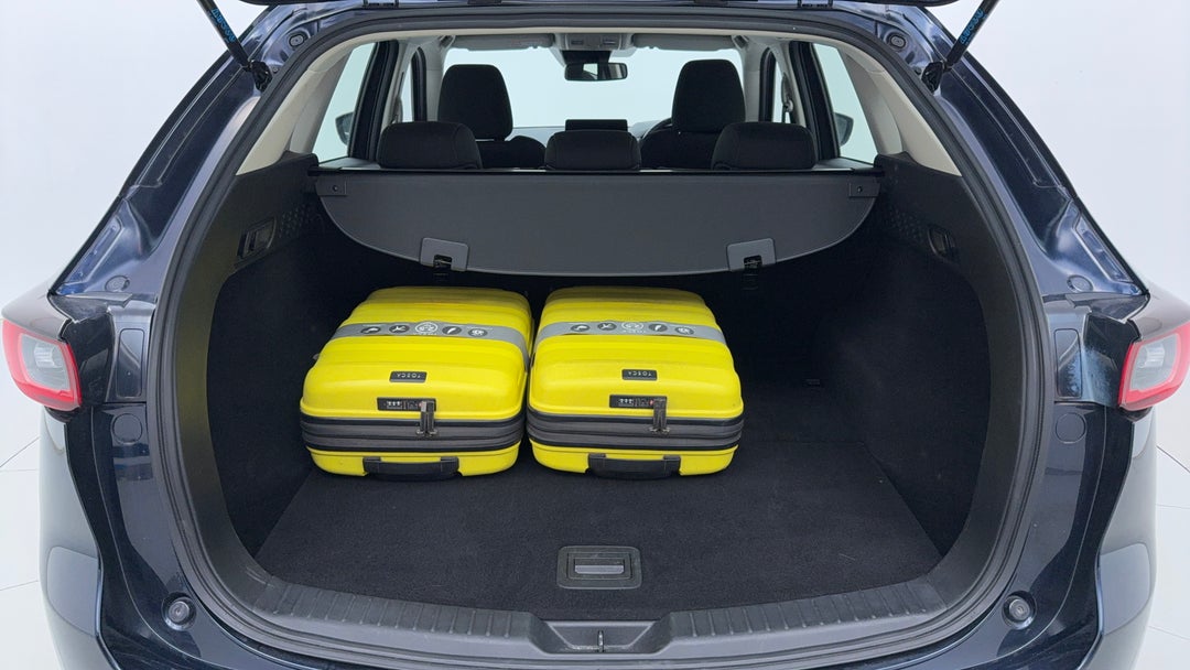 Boot Inside View with Luggage