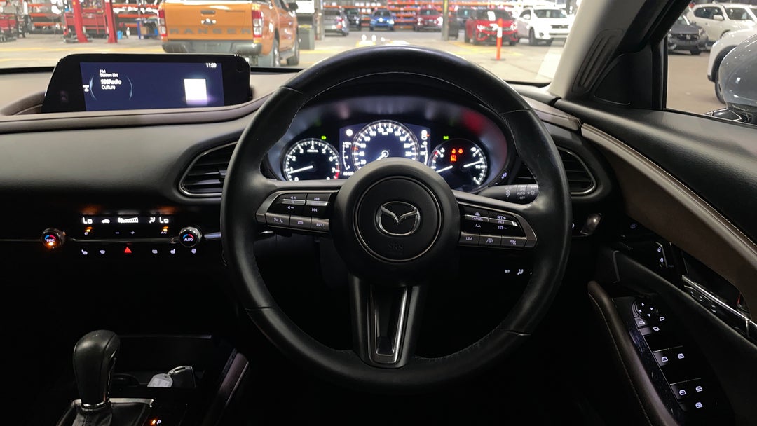 Steering Wheel Close-up