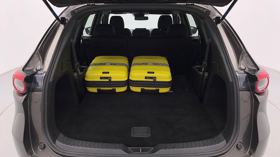 Boot Inside View with Luggage