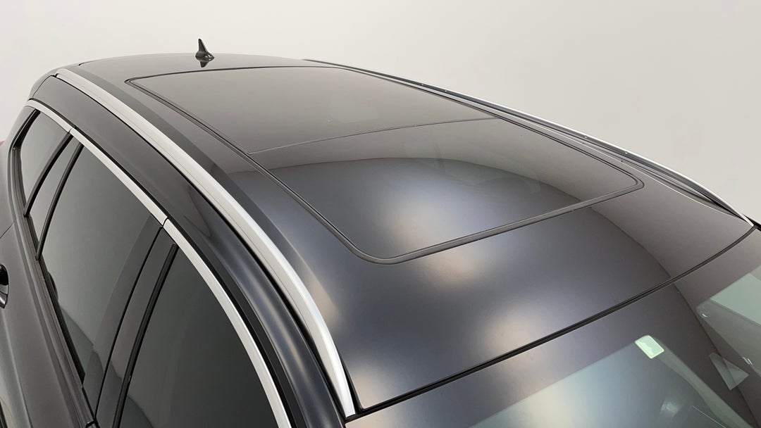 Roof/Sunroof View