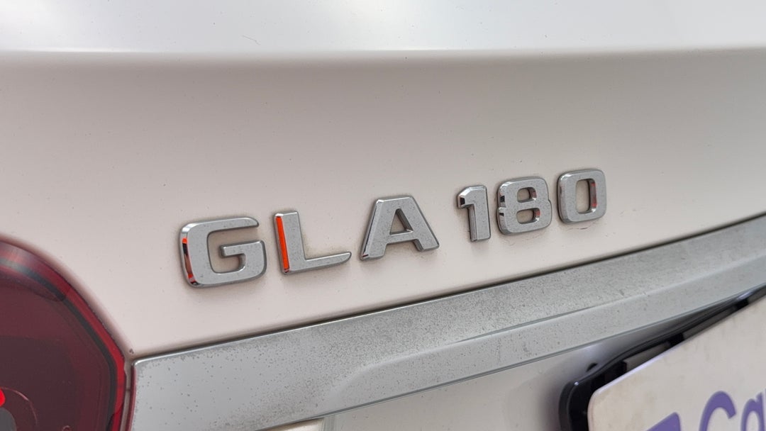 Badge (Boot Left Side)