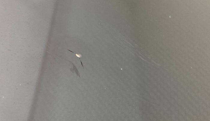 2021 Tata NEXON XM DIESEL, Diesel, Manual, 32,728 km, Front windshield - Minor spot on windshield