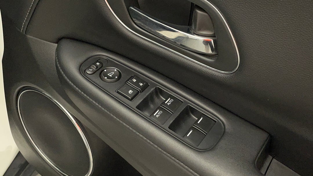 Drivers Side Door Panel Controls