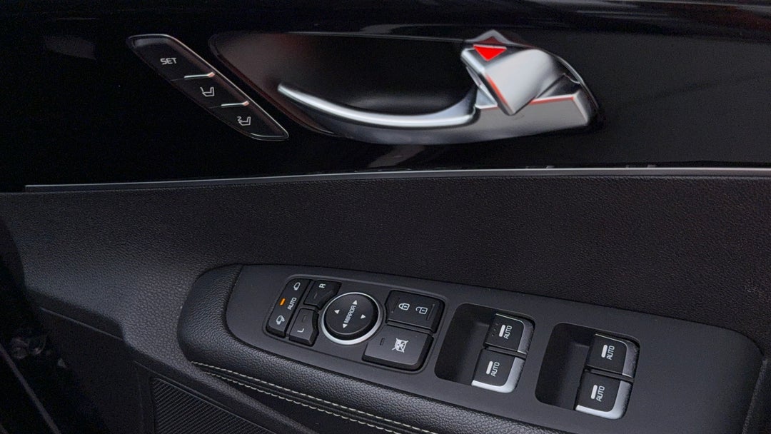 Drivers Side Door Panel Controls