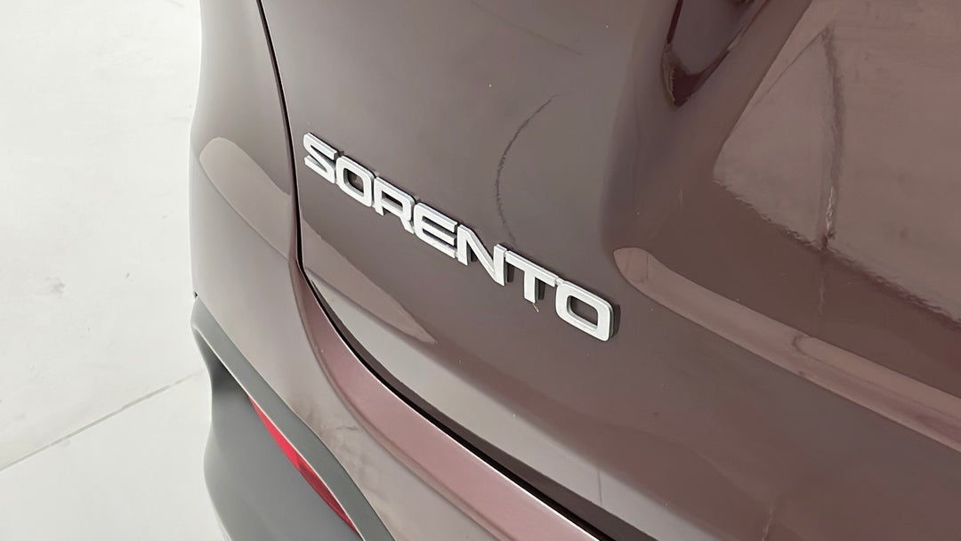 Badge (Boot Left Side)