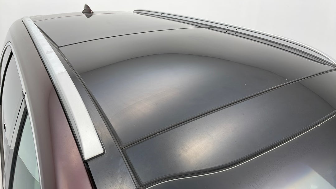 Roof/Sunroof View
