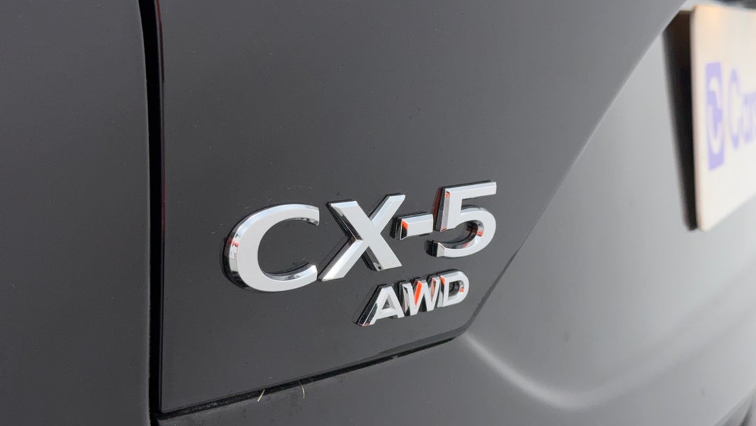 Badge (Boot Left Side)