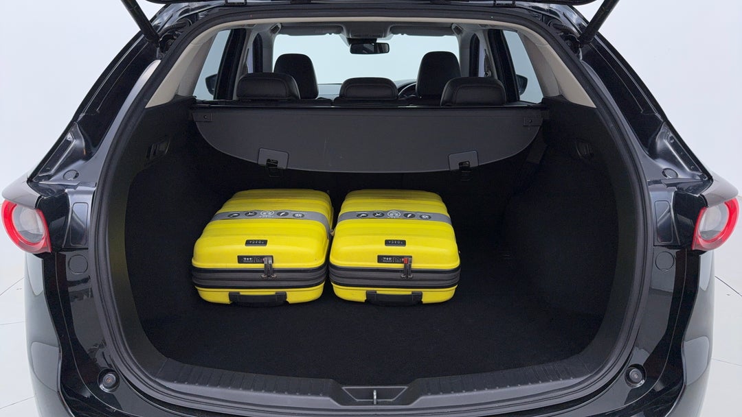 Boot Inside View with Luggage