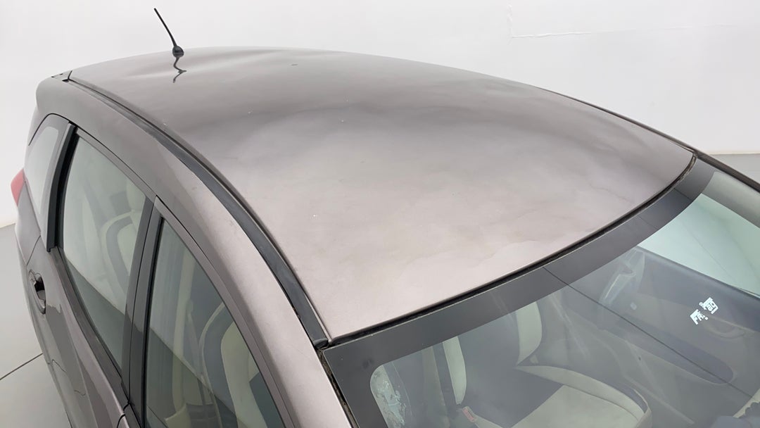 Roof/Sunroof View