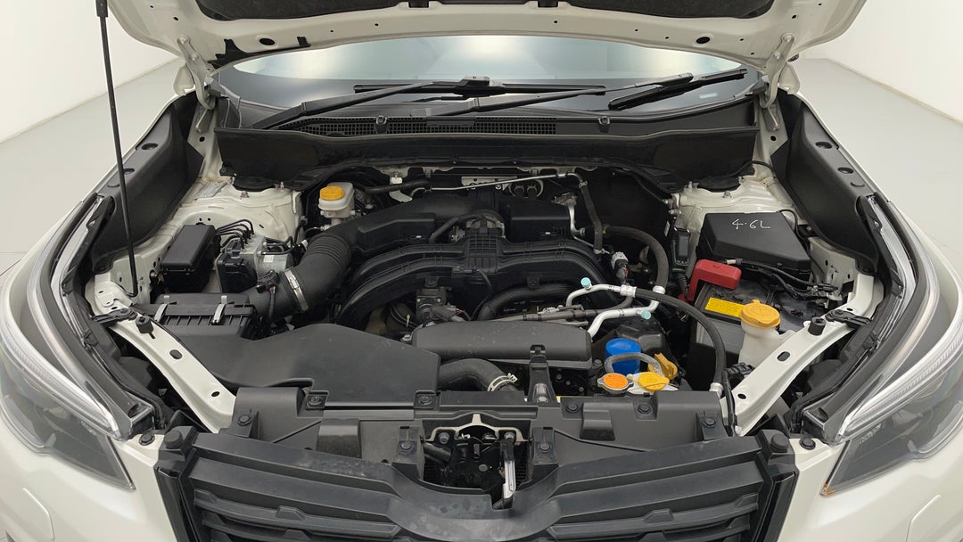 Open Bonnet (Engine)