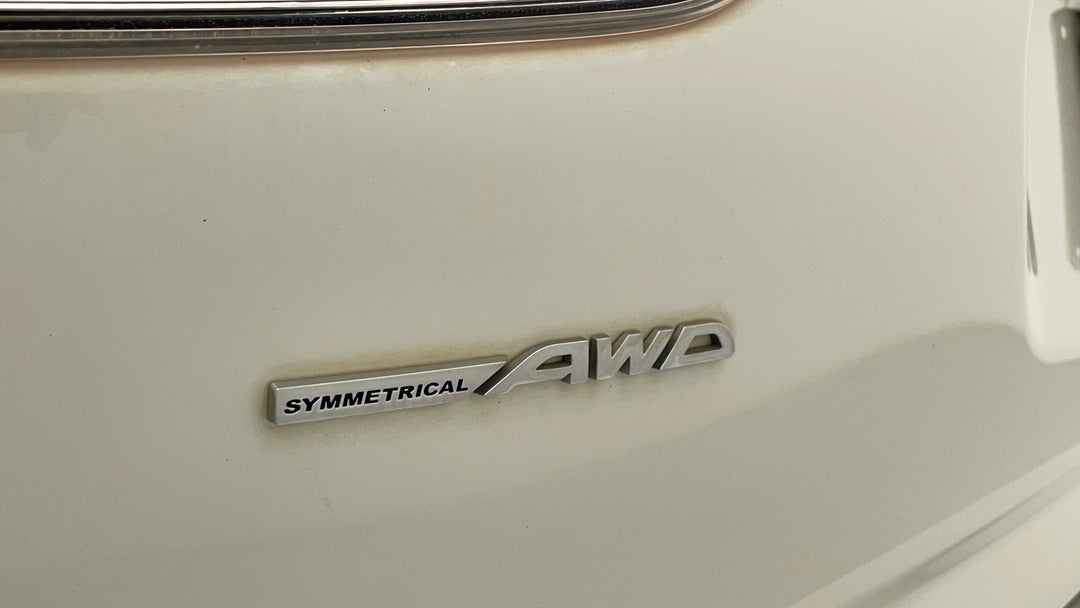 Badge (Boot Left Side)