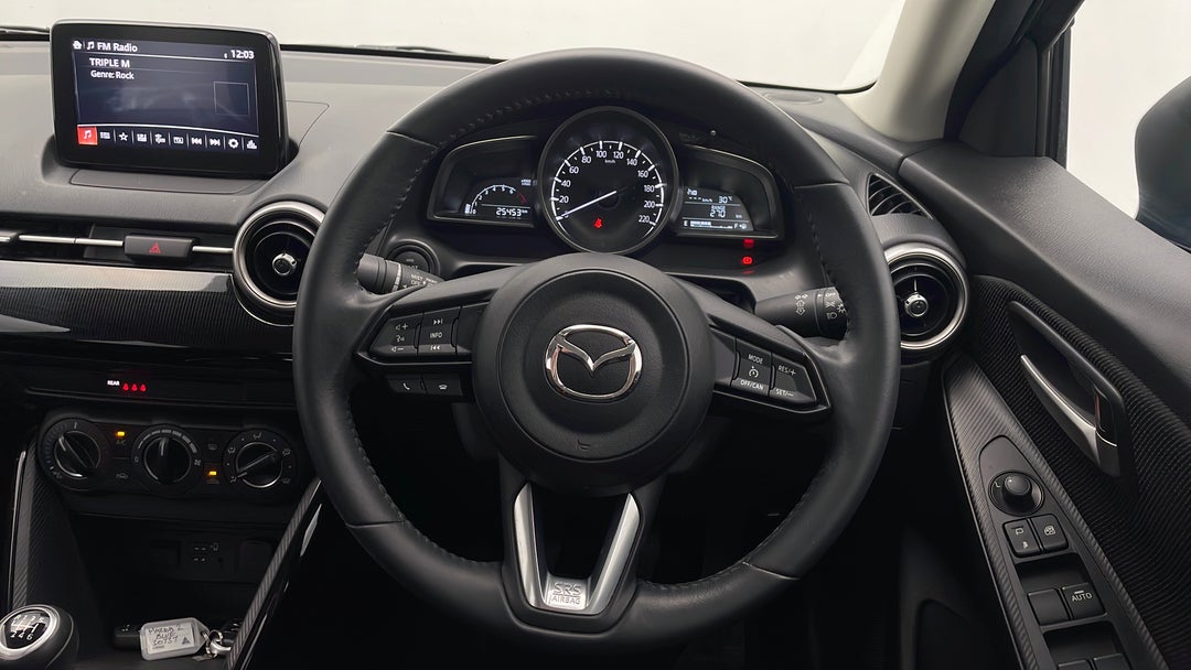 Steering Wheel Close-up