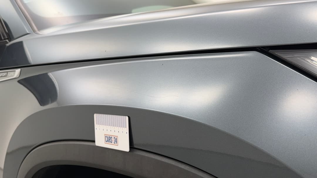 Quarter Panel Front RHS Guard Chip