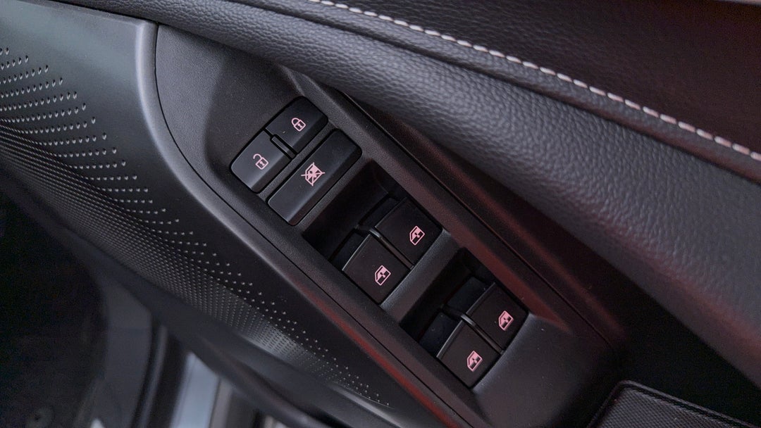 Drivers Side Door Panel Controls