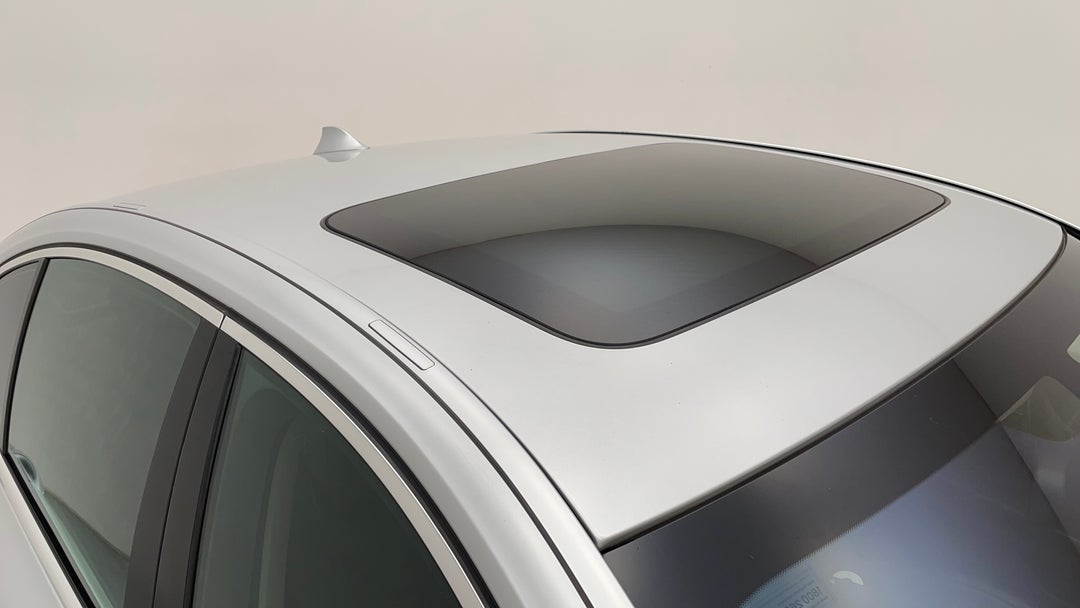 Roof/Sunroof View