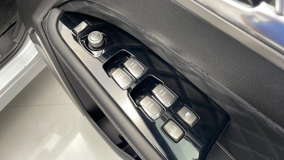 Drivers Side Door Panel Controls