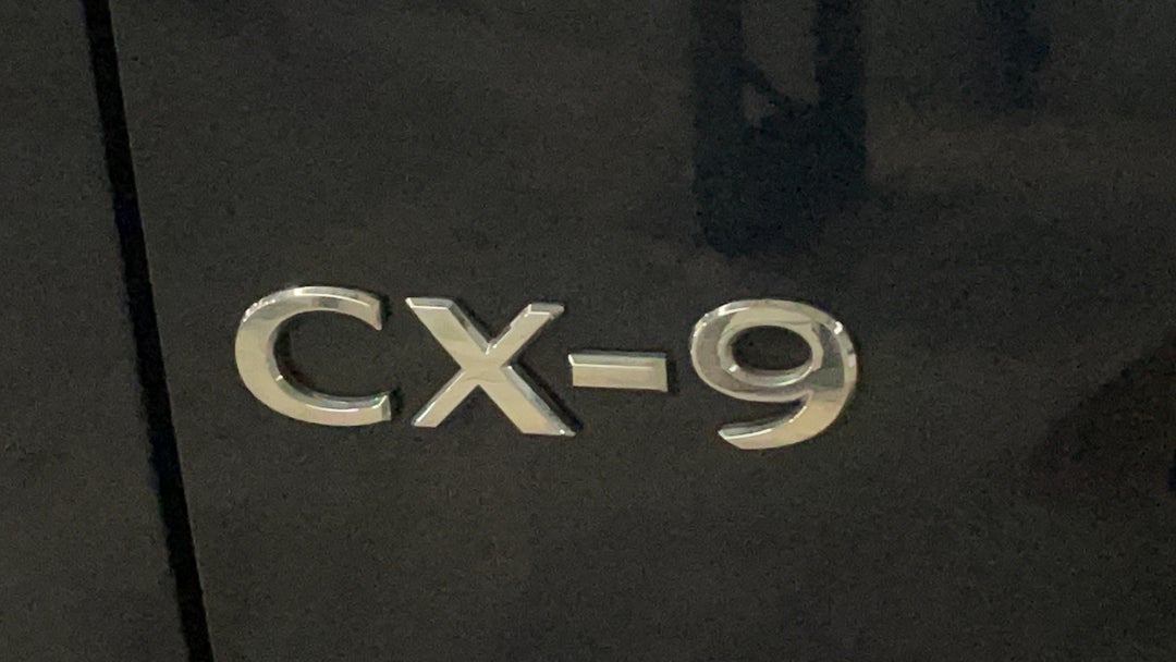 Badge (Boot Left Side)