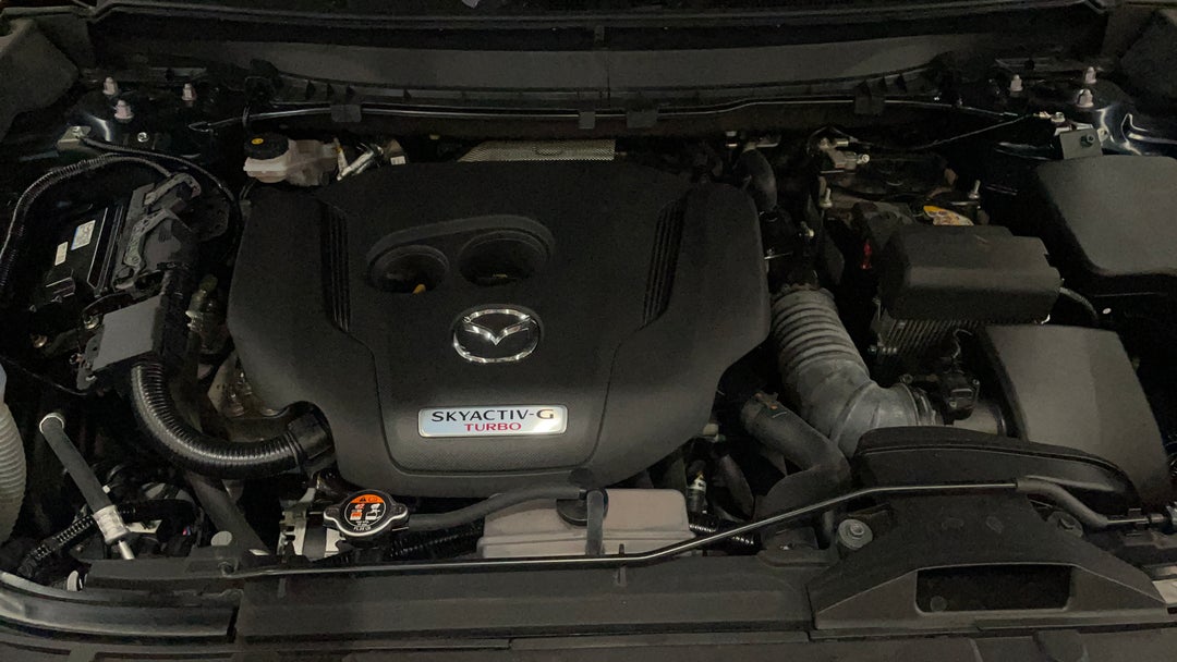 Open Bonnet (Engine)