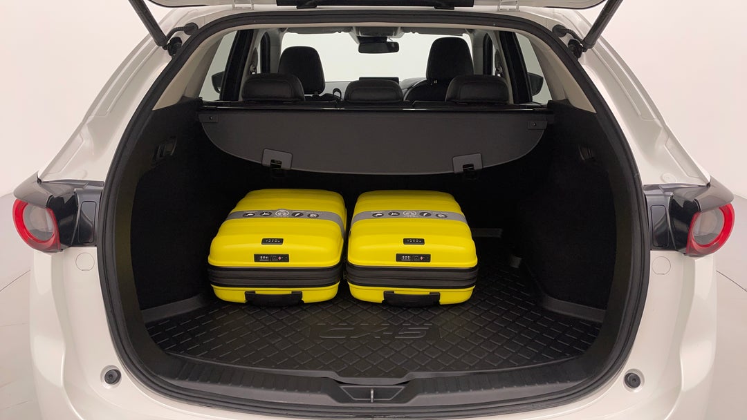 Boot Inside View with Luggage