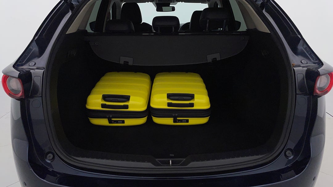 Boot Inside View with Luggage