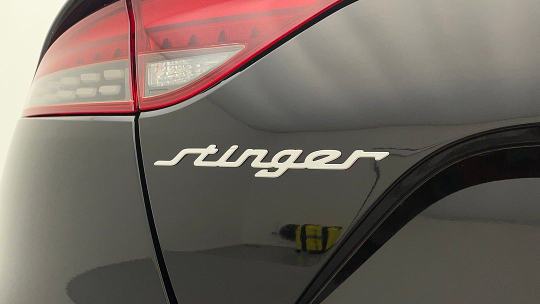 Badge (Boot Left Side)