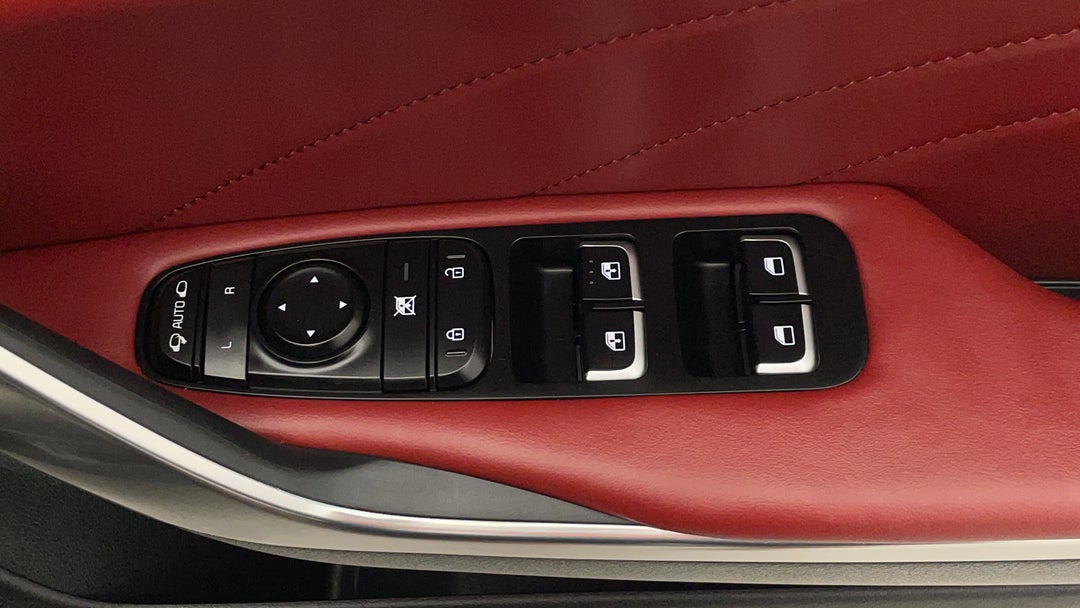 Drivers Side Door Panel Controls