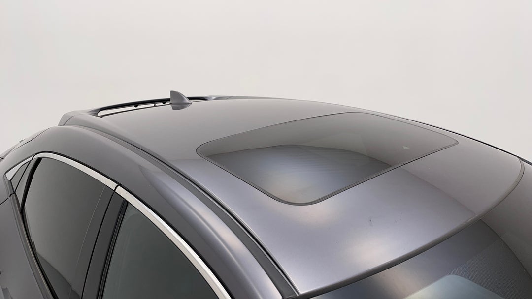 Roof/Sunroof View