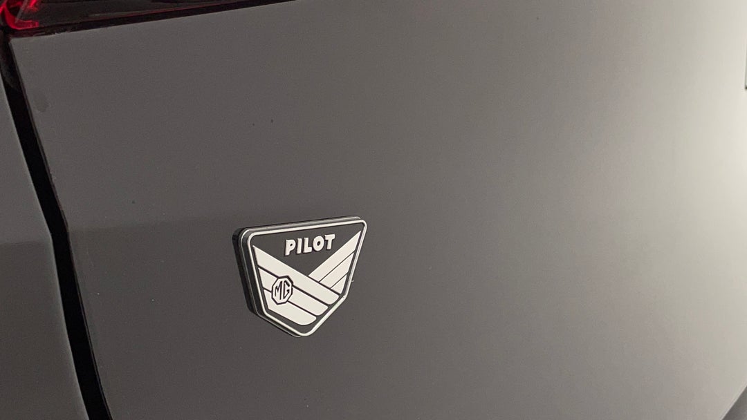 Badge (Boot Left Side)