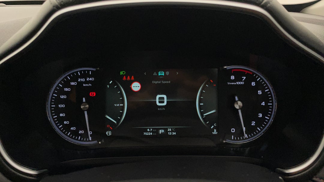 Odometer View