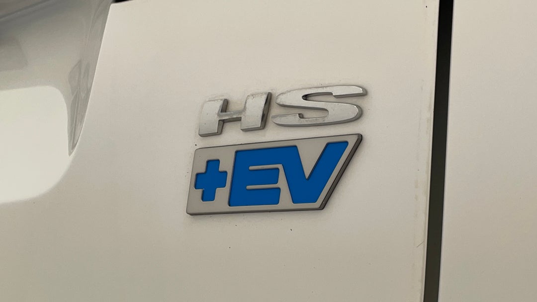 Badge (Boot Right Side)