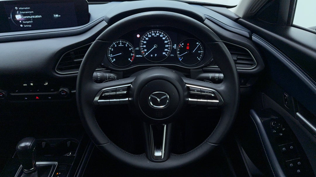 Steering Wheel Close-up