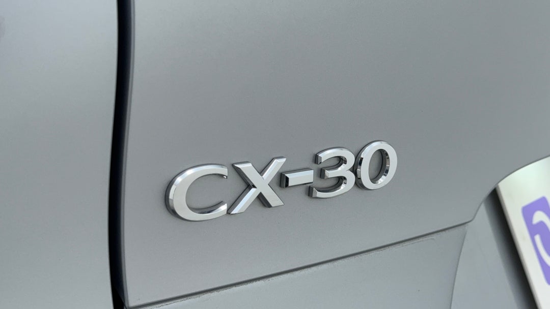 Badge (Boot Left Side)