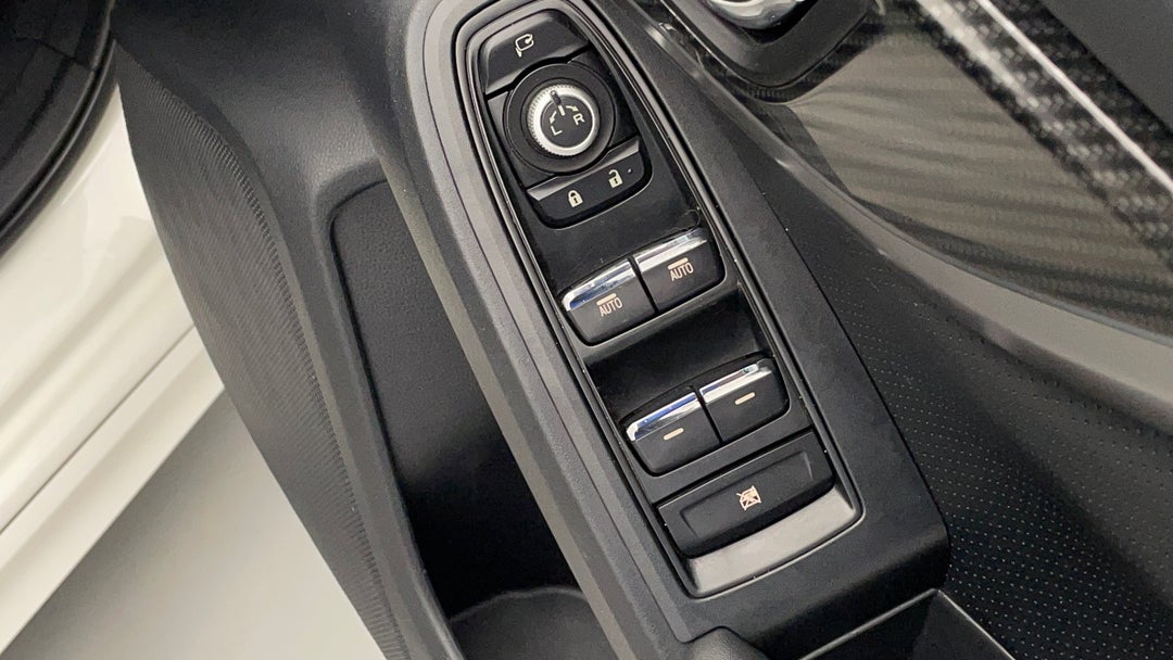 Drivers Side Door Panel Controls