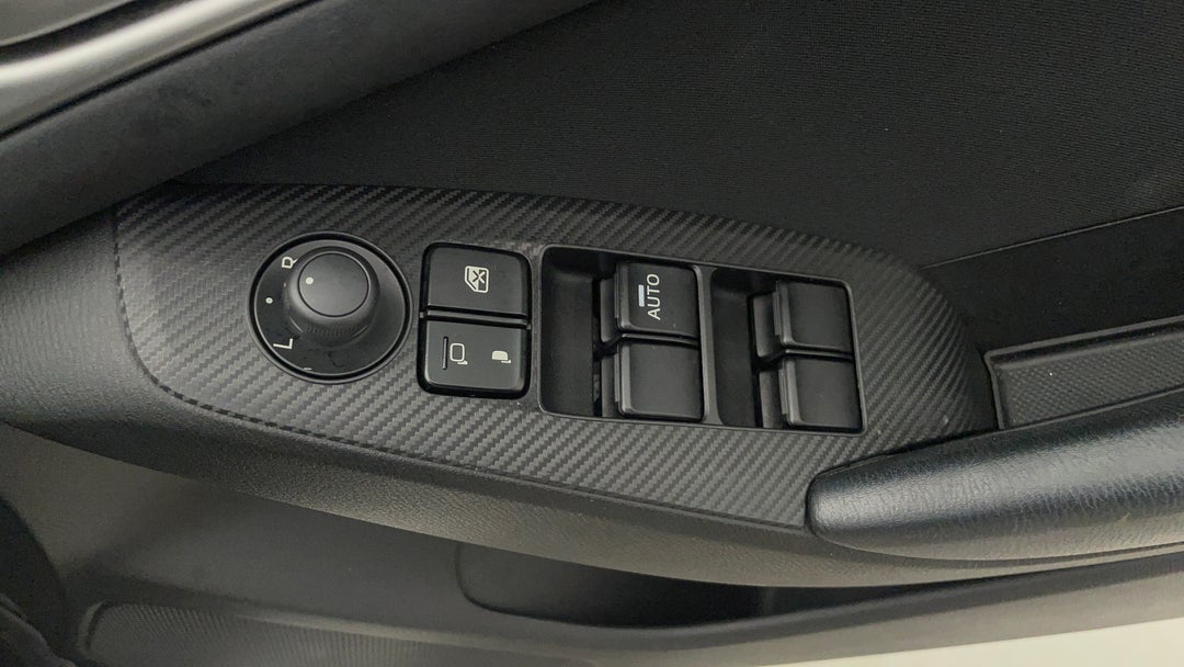 Drivers Side Door Panel Controls