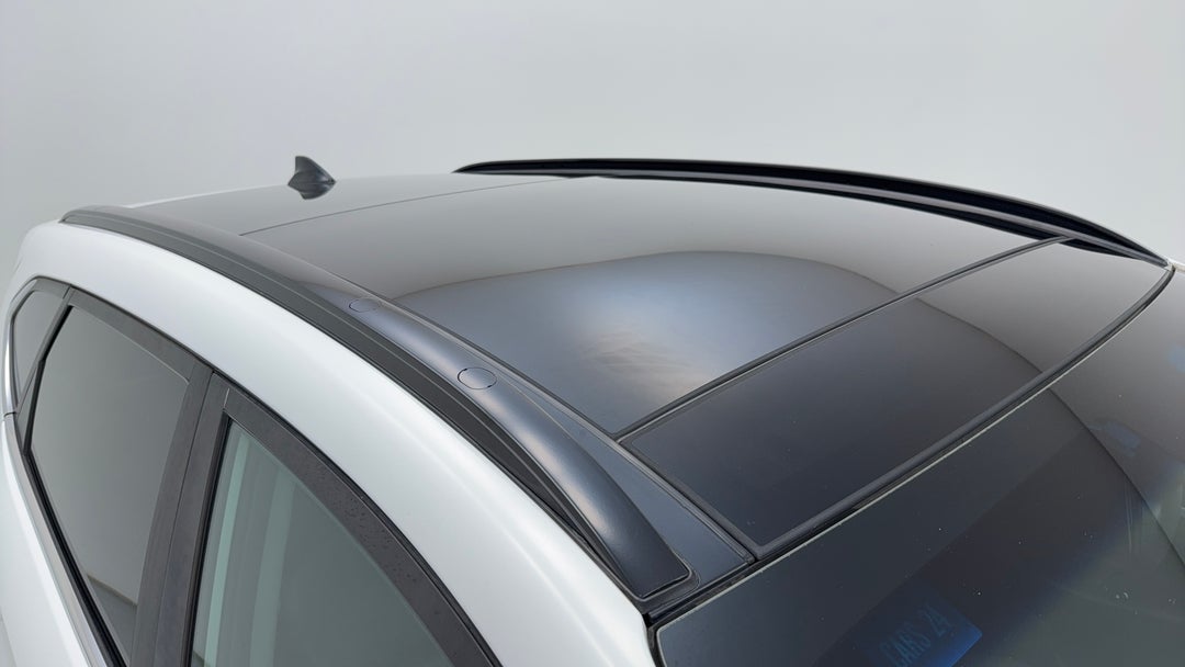 Roof/Sunroof View
