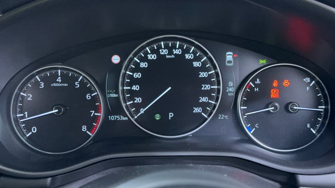 Odometer View