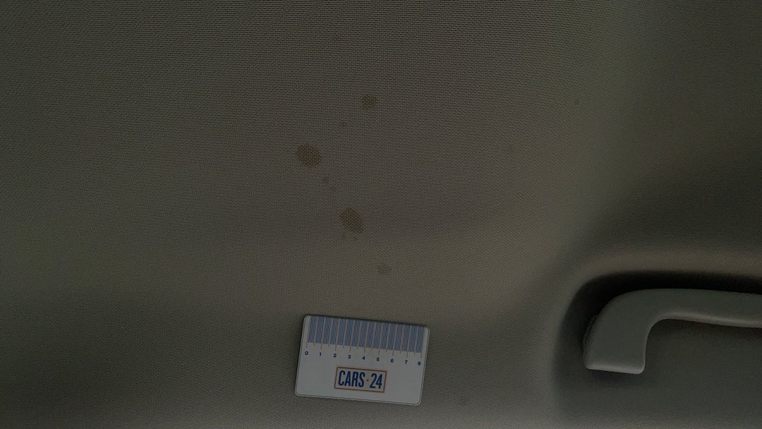 Roof Liner Stain