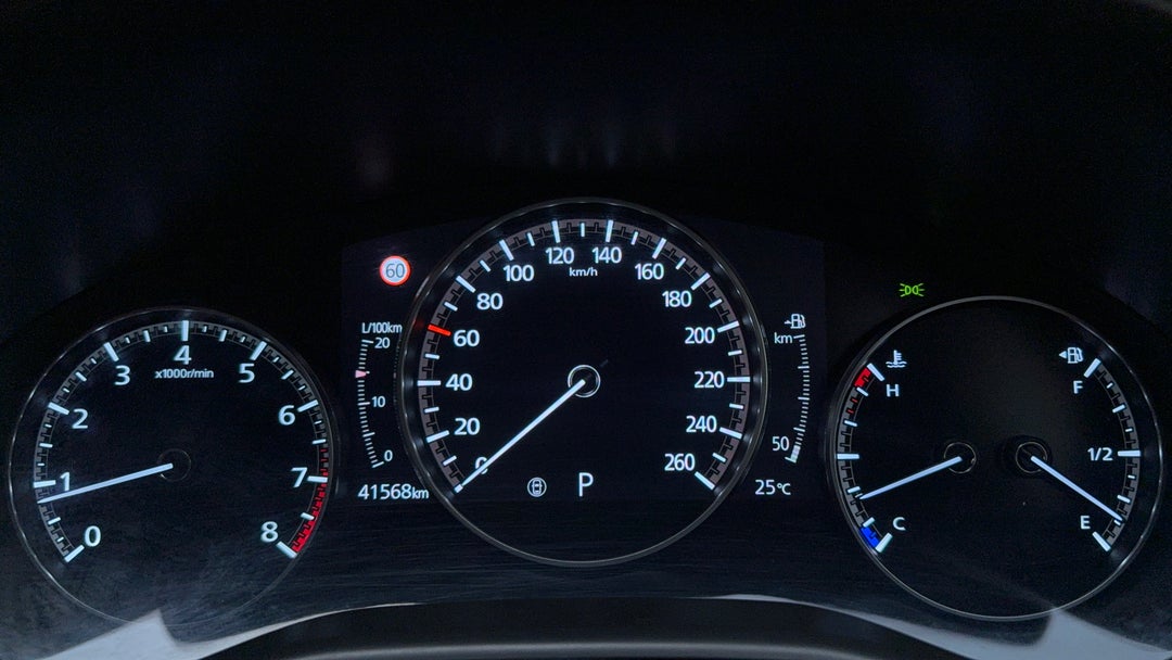 Odometer View