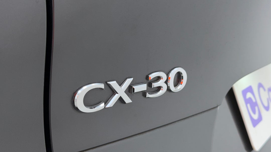 Badge (Boot Left Side)