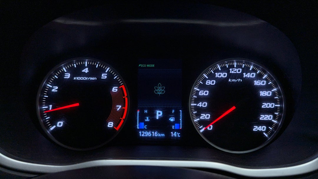 Odometer View