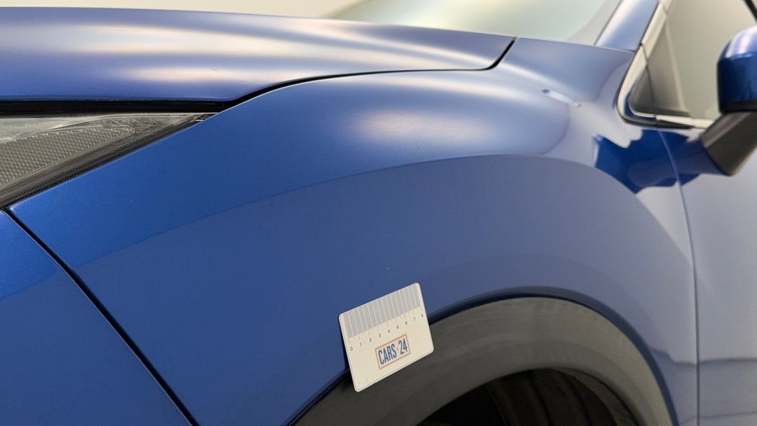 Quarter Panel Front LHS Guard Chip